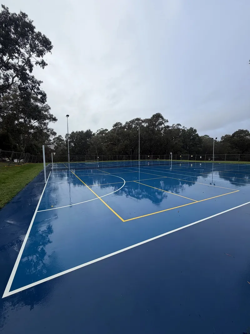 Netball goal third with regulation goal circle and white sideline after resurfacing
