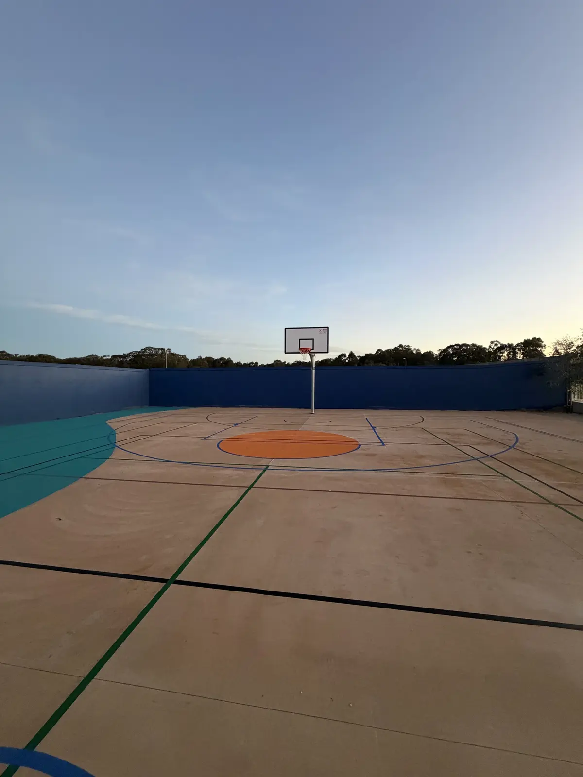 Real Speedy court project